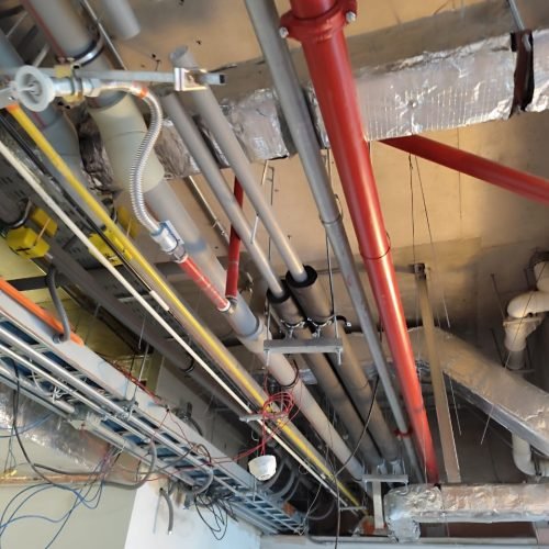 WhatsApp Image 2025-09-01 at 9.07.16 AM (2)